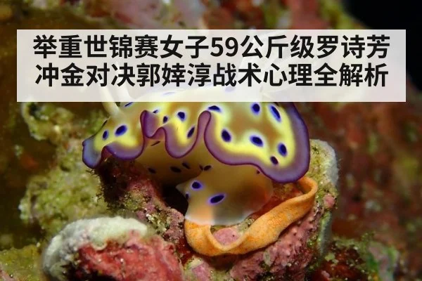 举重世锦赛女子59公斤级罗诗芳冲金对决郭婞淳战术心理全解析